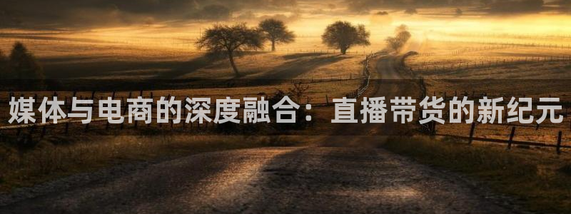 nba直播河豚：媒体与电商的深度融合：直播带货的新纪元