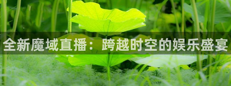 河豚面：全新魔域直播：跨越时空的娱乐盛宴