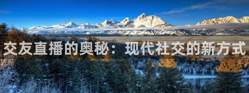 河豚nba篮球直播在线观看：交友直播的奥秘：现代社交的新方式