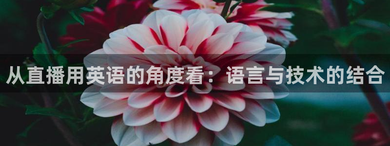 河豚的：从直播用英语的角度看：语言与技术的结合