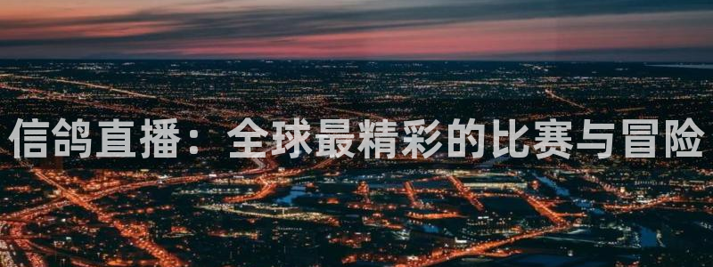 河豚河豚：信鸽直播：全球最精彩的比赛与冒险