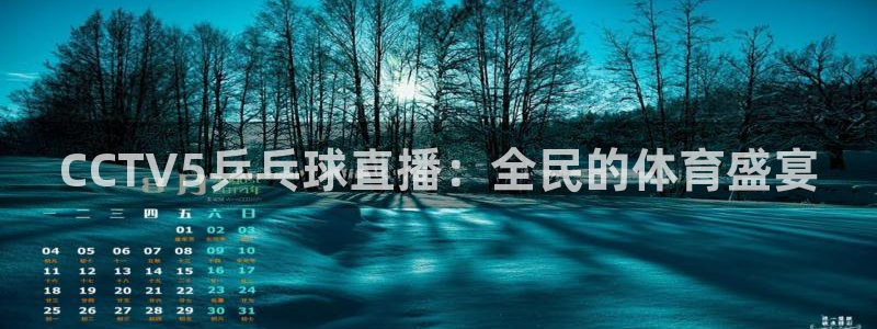 河豚体育app官方下载：CCTV5乒乓球直播：全民的体育盛宴