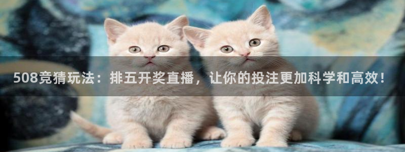 河豚视频：508竞猜玩法：排五开奖直播，让你的投注更加科学和高效！