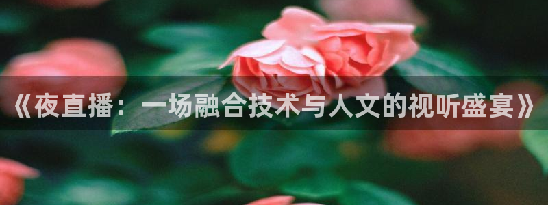 nba直播河豚：《夜直播：一场融合技术与人文的视听盛宴》